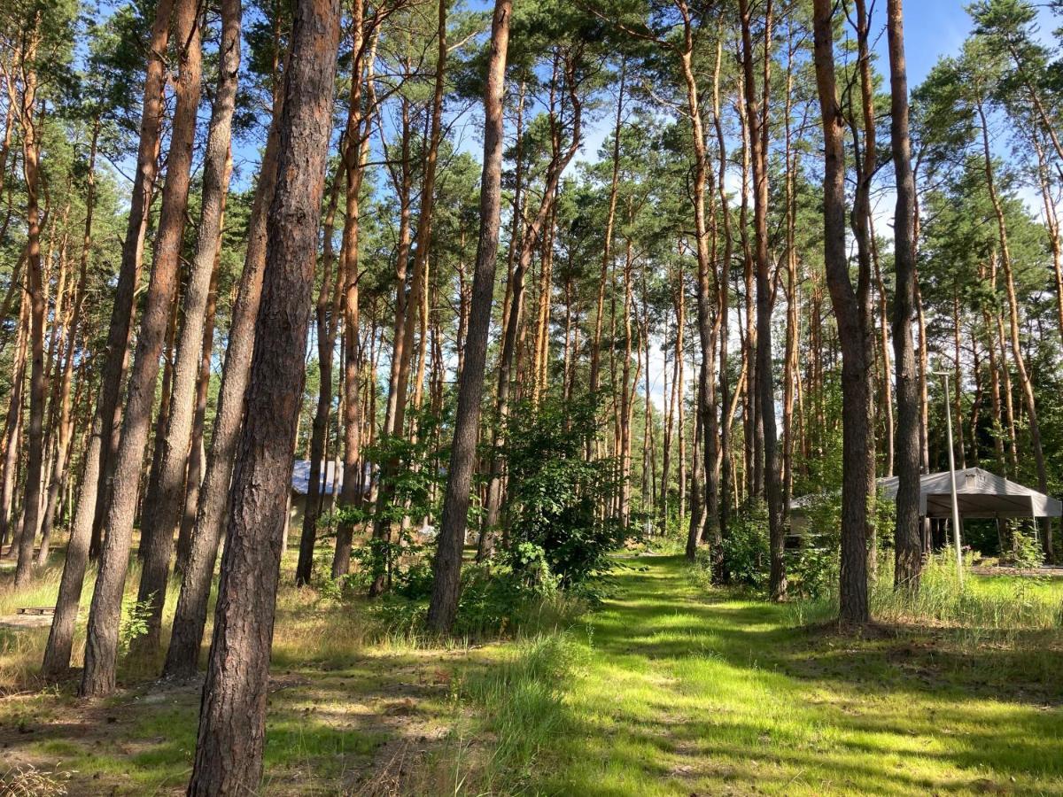 Gora Spokoju Osada Klimatyczna-Lesna Inowlodz Экстерьер фото